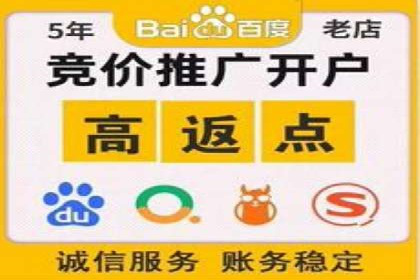 案例剖析：托管竞价SEM助力业绩提升